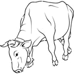 Grazing Bull Stencil