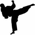Karate Stencils 0 - Oak Lane Studio