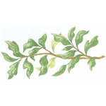 Rainforest Branch 1 Stencil