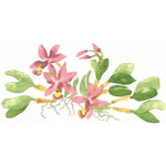 Rainforest Orchid 2 Wall Stencil
