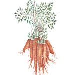 Hanging Baby Carrots Wall Stencil by DeeSigns