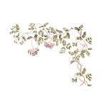 Hoya Vine Wall Stencil by DeeSigns