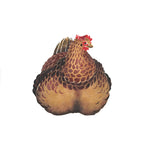 Mother Hen Wall Stencil by DeeSigns