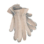 Gardening Gloves Wall Stencil by DeeSigns