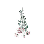 Hanging Chives Herbs Wall Stencil by DeeSigns