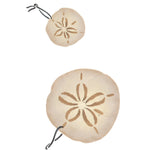 Sand Dollars Seashell Wall Stencil by DeeSigns