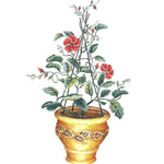 Mandeville Vine in Pot Wall Stencil by DeeSigns