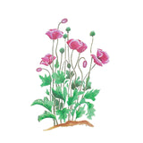 Poppies Wall Stencil by DeeSigns