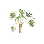 Free Form Palm Tree Wall Stencil by DeeSigns
