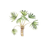 Free Form Palm Tree Wall Stencil by DeeSigns