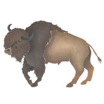 Buffalo Wall Stencil by DeeSigns