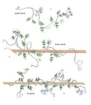 Star Clematis Wall Stencil by DeeSigns