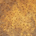 Ostrich Skin Print Wall Painting Stencil