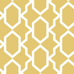 Safi Wall Painting Stencil