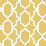 Safi Wall Painting Stencil