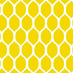 Lemonesque Wall Painting Stencil