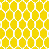 Lemonesque Wall Painting Stencil