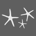 Starfish Stencil