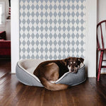 Harlequin Wall Stencil In Living Room With Dog