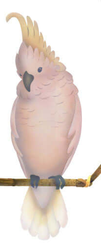 Crested Cockatoo by The Mad Stencilist