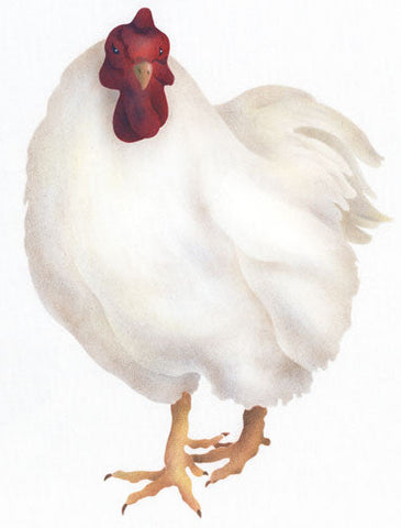 White Hen Wall Stencil by The Mad Stencilist