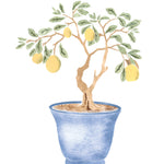 Winterthur Chinese Parlor Lemon Tree Wall Stencil