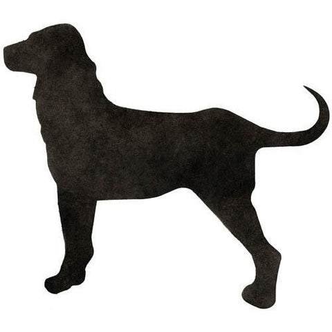 Lab Stencil