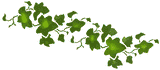 Border of Ivy Border Stencil
