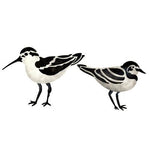 Shorebirds Stencil